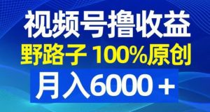 视频号野路子撸收益，100%原创，条条爆款，月入6000＋-副业吧