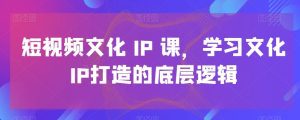 短视频文化IP课，学习文化IP打造的底层逻辑-副业吧