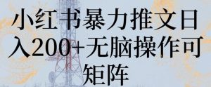 小红书暴力推文日入200+无脑操作可矩阵-副业吧