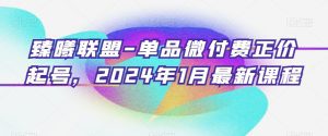 臻曦联盟-单品微付费正价起号，2024年1月最新课程-副业吧