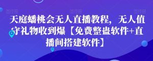 天庭蟠桃会无人直播教程,无人值守礼物收到爆【免费整蛊软件+直播间搭建软件】-副业吧