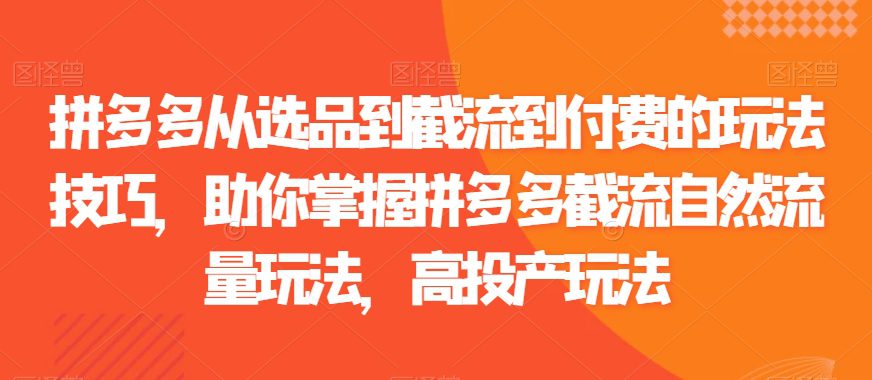 拼多多从选品到截流到付费的玩法技巧，助你掌握拼多多截流自然流量玩法，高投产玩法-副业吧