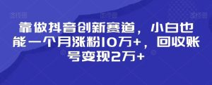 靠做抖音创新赛道，小白也能一个月涨粉10万+，回收账号变现2万+-副业吧