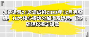 淘系运营21天速成班2023年12月完整版，10大核心模块分解淘系运营，0基础轻松搞定爆款-副业吧