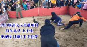 冷门爆款无人直播项目，简单易学上手快，变现快日赚2千不是梦-副业吧