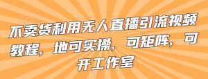 不卖货利用无人直播引流视频教程,地可实操,可矩阵,可开工作室-副业吧