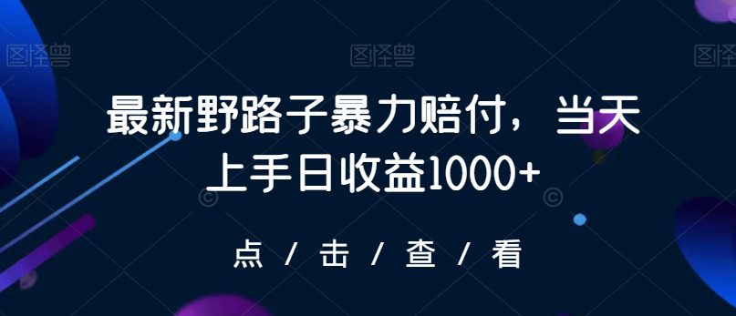 最新野路子暴力赔付，当天上手日收益1000+【仅揭秘】-副业吧