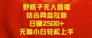 野路子无人直播结合网盘拉新,日赚2500+,小白无脑轻松上手-副业吧