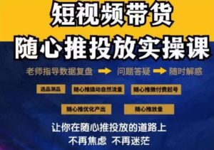 2024好物分享随心推投放实操课,随心推撬动自然流量/微付费起号/优化产出-副业吧