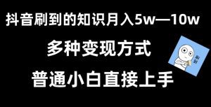 抖音刷到的知识，每天只需2小时，日入2000+，暴力变现，普通小白直接上手-副业吧