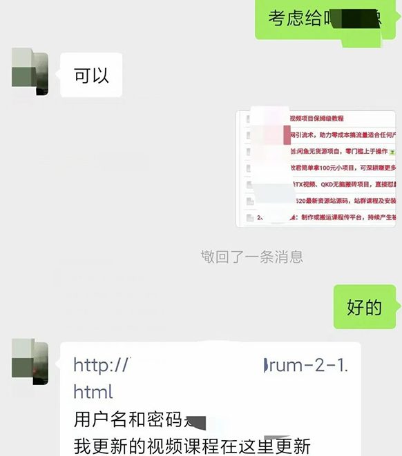 图片[1]-小彬网虚拟资源网站培训课程，如何一个月快速做出盈利的资源网站（实打实经验）-副业吧