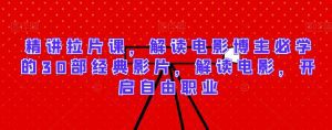 精讲拉片课，解读电影博主必学的30部经典影片，解读电影，开启自由职业-副业吧