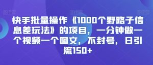 快手批量操作《1000个野路子信息差玩法》的项目，一分钟做一个视频一个图文，不封号，日引流150+-副业吧