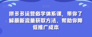 拼多多运营必学体系课，带你了解最新流量获取方法、帮助你降低推广成本-副业吧
