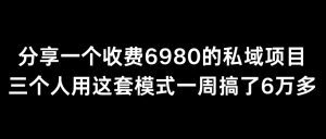 分享一个外面卖6980的私域项目三个人用这套模式一周搞了6万多-副业吧