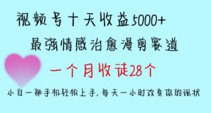 十天收益5000+,多平台捞金,视频号情感治愈漫剪,一个月收徒28个,小白一部手机轻松上手-副业吧