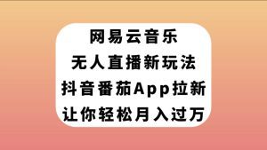 （7599期）网易云音乐无人直播新玩法，抖音番茄APP拉新，让你轻松月入过万-副业吧