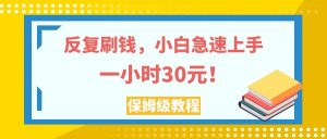 (7751期)反复刷钱,小白急速上手,一个小时30元,实操教程。-副业吧