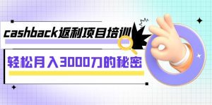 （7765期）cashback返利项目培训：轻松月入3000刀的秘密（8节课）-副业吧