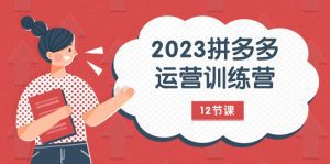 (7805期)2023拼多多运营训练营:流量底层逻辑,免费+付费流量玩法(12节课)-副业吧