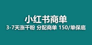 （7826期）【蓝海项目】2023最强蓝海项目，小红书商单项目，没有之一！-副业吧