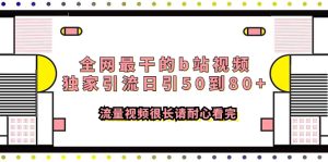 （7858期）全网最干的b站视频独家引流日引50到80+流量视频很长请耐心看完-副业吧