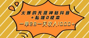 (7869期)火爆的天涯神贴抖音+私域0成本一单28一天收入1000+-副业吧