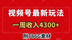 (7969期)视频号最新玩法 广告收益翻倍 几分钟一个作品 一周变现4300+(附786G素材)-副业吧
