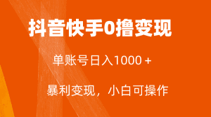 (7993期)全网首发,单账号收益日入1000+,简单粗暴,保底5元一单,可批量单操作-副业吧