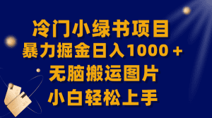 (8101期)【全网首发】冷门小绿书暴力掘金日入1000+,无脑搬运图片小白轻松上手-副业吧