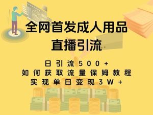 (8193期)最新全网独创首发,成人用品直播引流获客暴力玩法,单日变现3w保姆级教程-副业吧