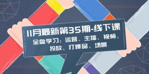 （8314期）11月最新-35期-线下课：全盘学习：运营、主播、视频、投放、打爆品、场景-副业吧