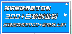 （8315期）知识星球野路子日引300+白领创业粉，日稳定变现5000+简单好上手！-副业吧