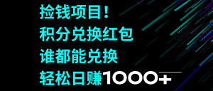 （8378期）捡钱项目！积分兑换红包，谁都能兑换，轻松日赚1000+-副业吧
