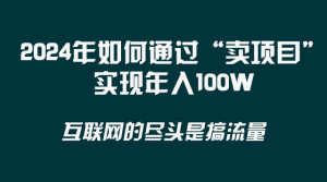 (8382期) 2024年如何通过“卖项目”实现年入100W-副业吧