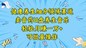 （8503期）健康养生细分领域赛道，卖音药U盘养生音乐，轻松月赚一万+，可批量操作-副业吧