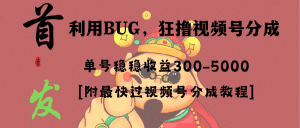 （8549期）全网独家首发，视频号BUG，超短期项目，单号每日净收益300-5000！-副业吧