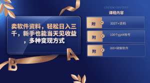 （8582期）卖软件资料，轻松日入三千，新手也能当天见收益，多种变现方式，（附300…-副业吧