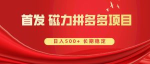 （8611期）首发 磁力拼多多自撸  日入500+-副业吧