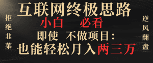 (8619期)互联网终极思路,小白必看,即使不做项目也能轻松月入两三万,拒绝韭菜…-副业吧
