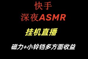 （8757期）快手深夜ASMR挂机直播磁力+小铃铛多方面收益-副业吧