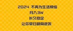 （8757期）2024不再为生活烦恼 月入3W 长久稳定 让你早日翻身逆袭-副业吧