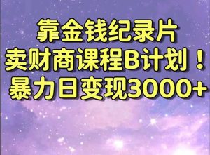 （8944期）靠金钱纪录片卖财商课程B计划！暴力日变现3000+，喂饭式干货教程！-副业吧
