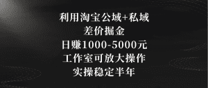 （8952期）利用淘宝公域+私域差价掘金，日赚1000-5000元，工作室可放大操作，实操…-副业吧