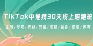 （8963期）TikTok中视频-30天线上陪跑班：注册/养号/素材/剪辑/搭建/制作/提现/等等-副业吧