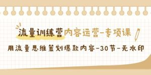 (9013期)流量训练营之内容运营-专项课,用流量思维策划爆款内容-30节-无水印-副业吧
