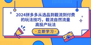 （9037期）2024拼多多从选品到截流到付费的玩法技巧，截流自然流量玩法，高投产玩法-副业吧