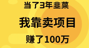 (9100期)当了3年韭菜,我靠卖项目赚了100万-副业吧