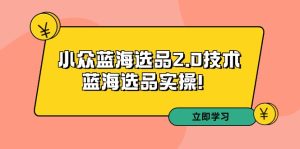 （9189期）拼多多培训第33期：小众蓝海选品2.0技术-蓝海选品实操！-副业吧