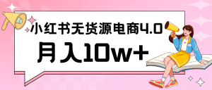 小红书新电商实战 无货源实操从0到1月入10w+ 联合抖音放大收益-副业吧